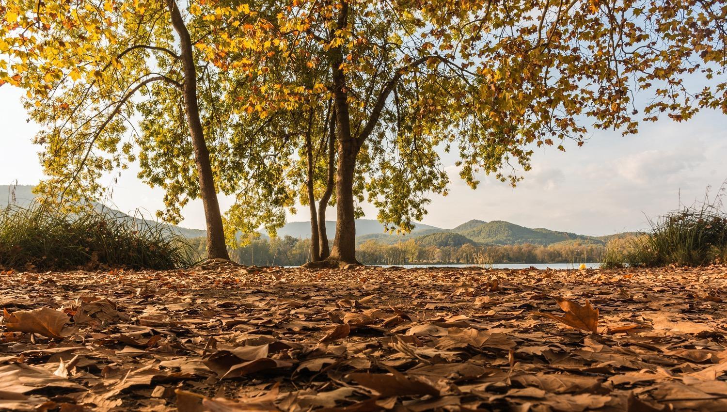 Camping Bungalow El Llac De Banyoles Porqueres Eksteriør bilde