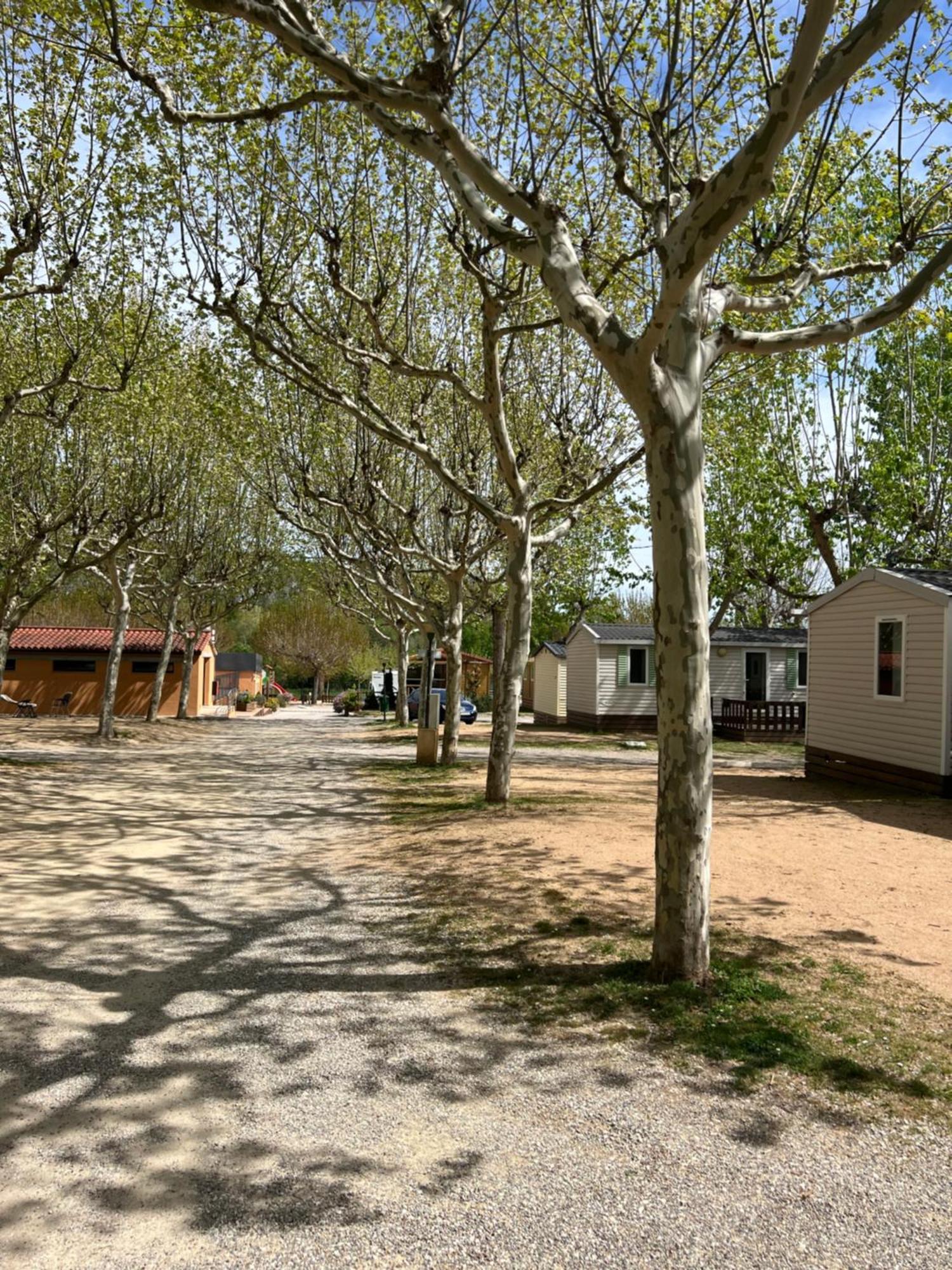 Camping Bungalow El Llac De Banyoles Porqueres Eksteriør bilde